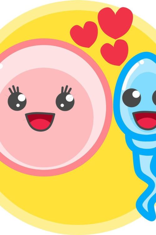 Our IVF Journey
